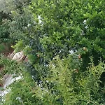 Spacious House With A Big Garden And Fire Pit 地拉那