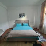 度假居 Spacious House With A Big Garden And Fire Pit 地拉那