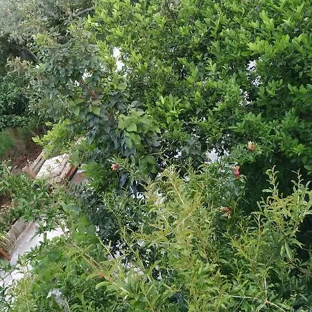 Spacious House With A Big Garden And Fire Pit Tirana