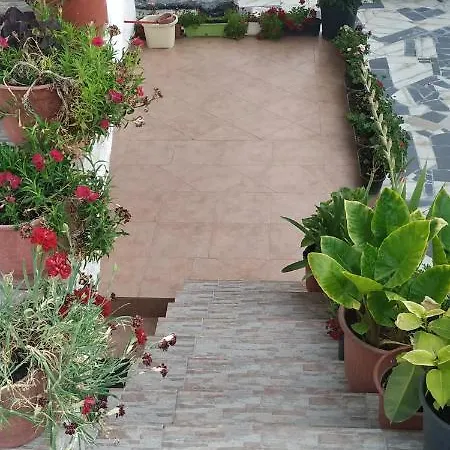 Spacious House With A Big Garden And Fire Pit בית נופש *