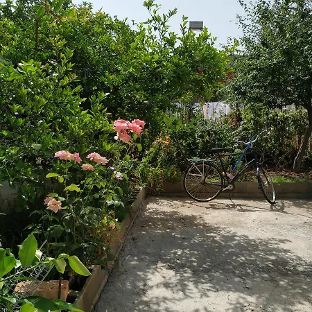Spacious House With A Big Garden And Fire Pit Semesterbostad Tirana