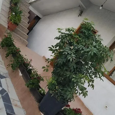 בית נופש Spacious House With A Big Garden And Fire Pit טיראנה