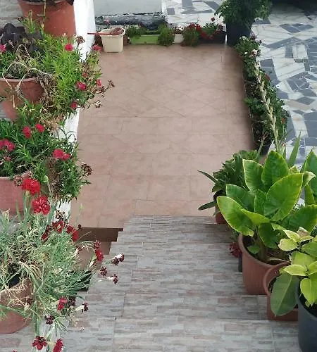 Spacious House With A Big Garden And Fire Pit בית נופש *