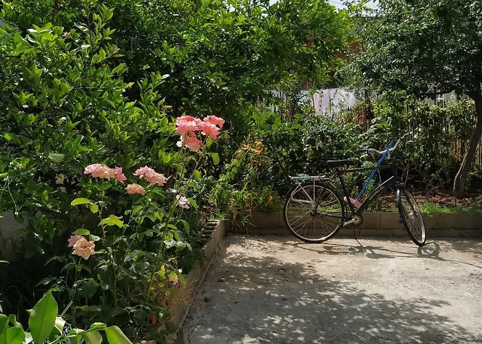 Spacious House With A Big Garden And Fire Pit Holiday home Tirana