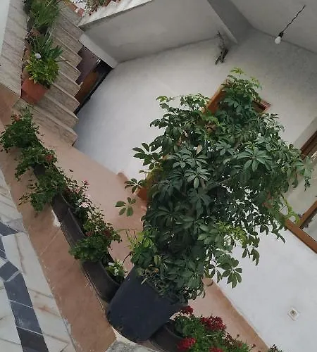 בית נופש Spacious House With A Big Garden And Fire Pit טיראנה